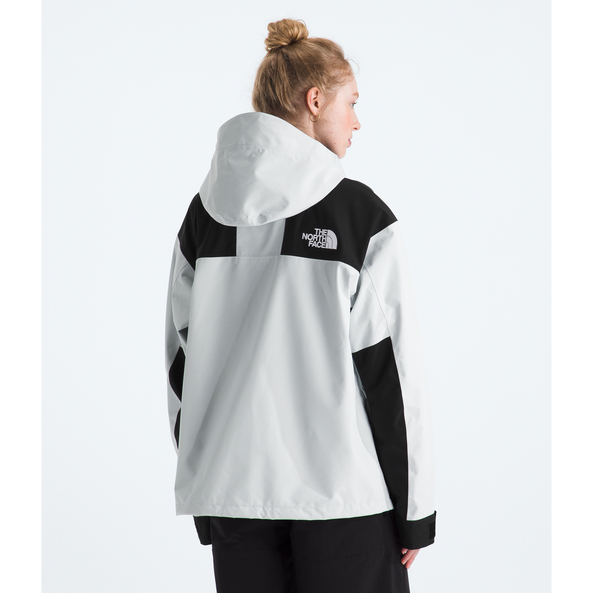 The North Face Men's GORE-TEX Mountain Jacket